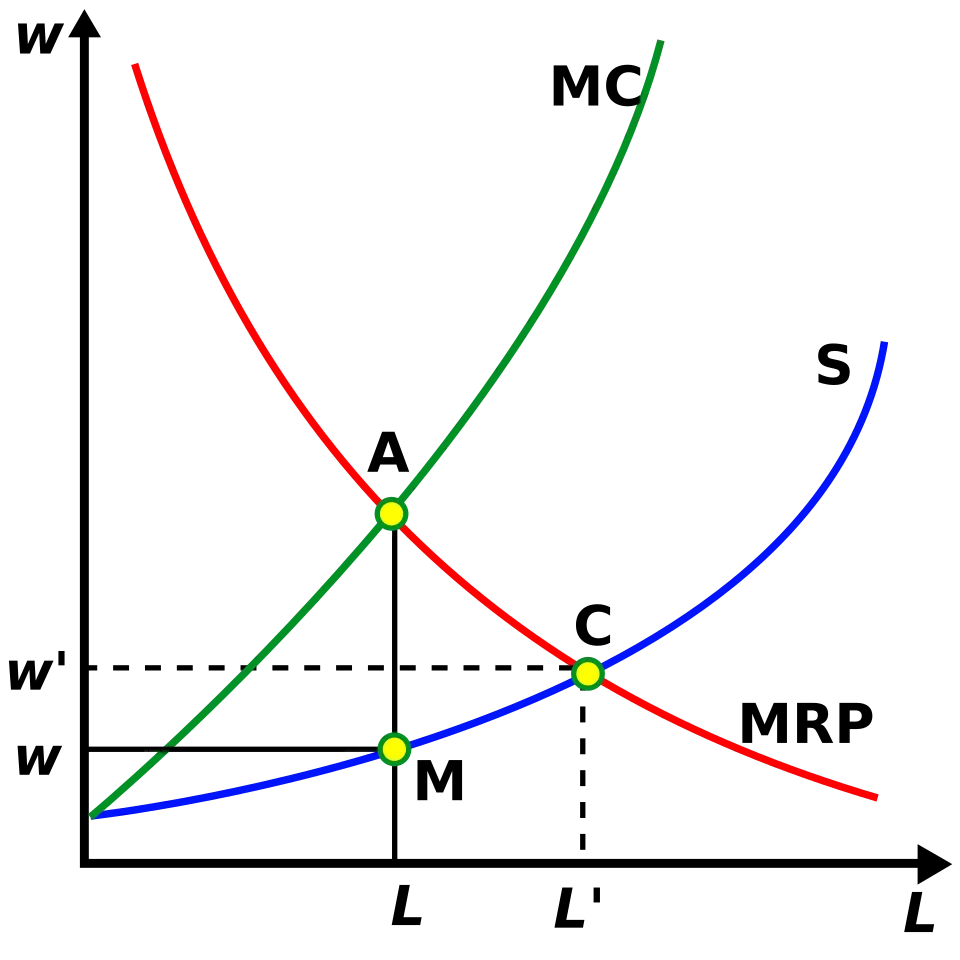 Figure 3. Under monopsony, wages are set below the marginal revenue product of labour.