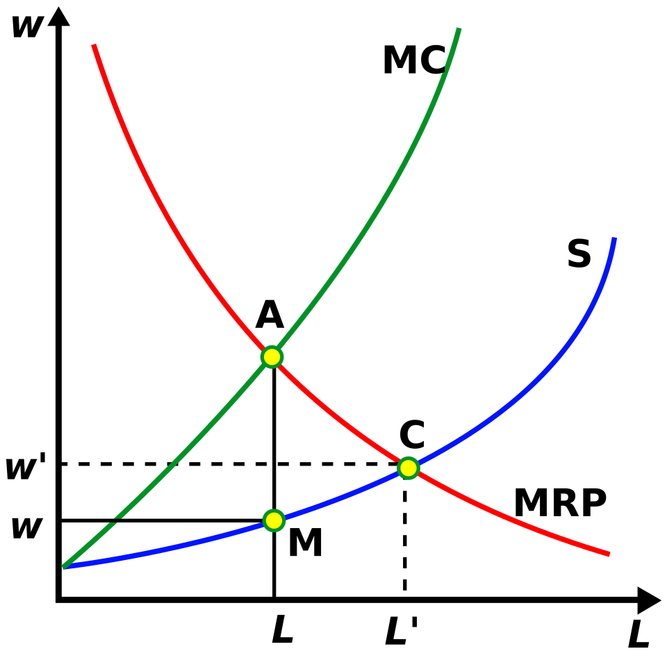 white-bg Figure 3. Under monopsony, wages are set below the marginal revenue product of labour.